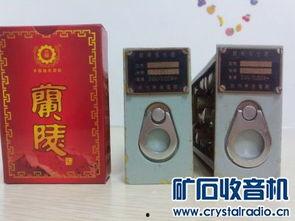 国产精品入,匠心独运,引领时代潮流的青春成长记
